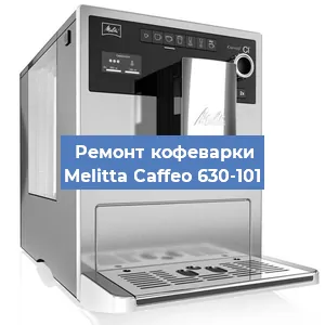 Чистка кофемашины Melitta Caffeo 630-101 от накипи в Екатеринбурге